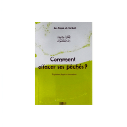 Livre "Comment effacer ses péchés ?" d'Ibn Rajab al-Hanbali, ouvrage religieux publié par La Ruche Éditions, couverture illustrée.
