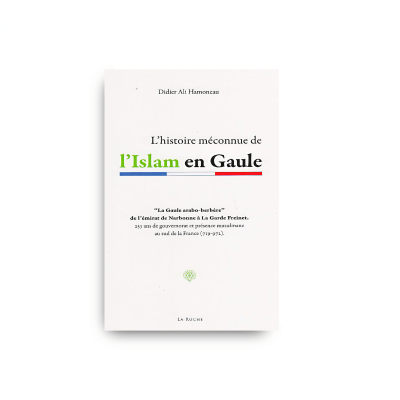 Couverture du livre L'histoire méconnue de l'Islam en Gaule de Didier Ali Hamoneau, éditions La Ruche