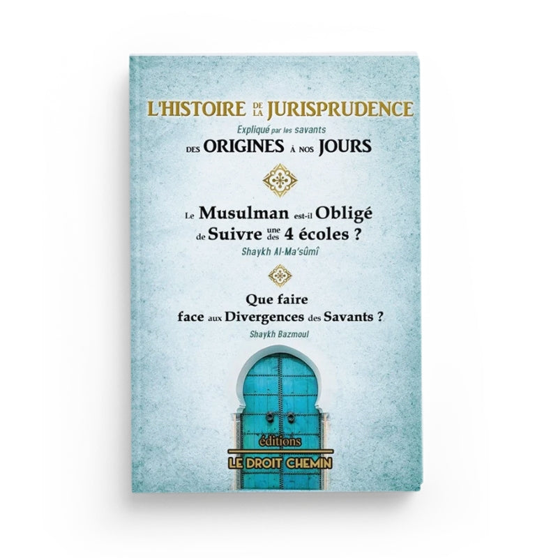 Livre "L’Histoire De La Jurisprudence" par Edition Le Droit Chemin, couverture illustrée, vue de face.