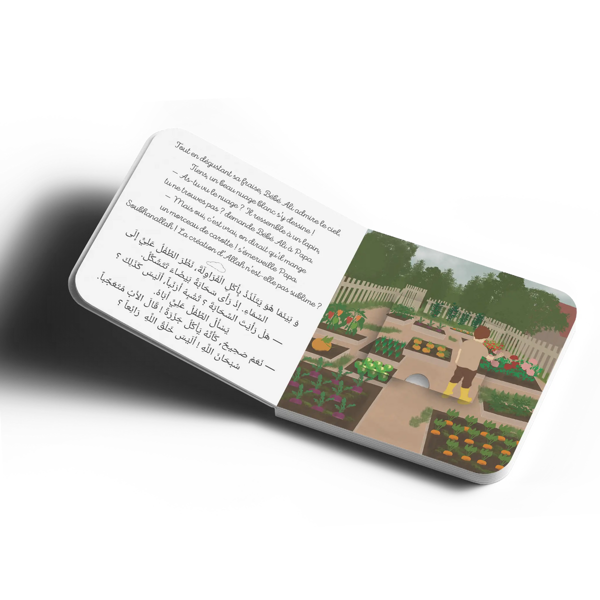 Livre enfant Bébé Ali Découvre la Création d’Allah, tome 9, avec illustrations colorées pour enfants sur la création divine.
