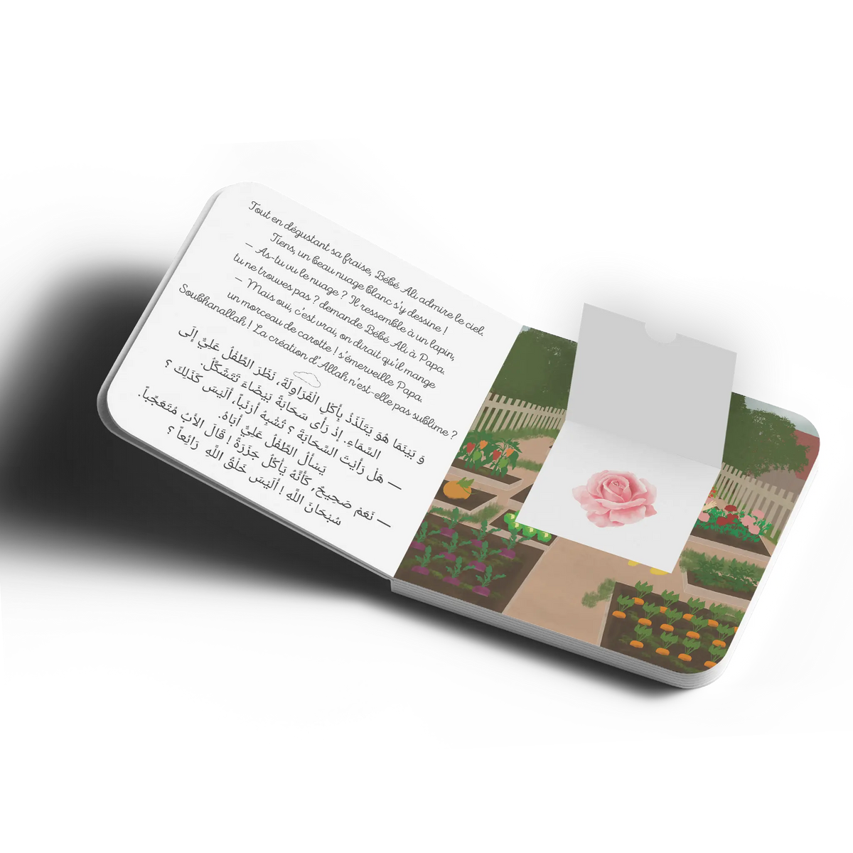 Livre pour enfant Bébé Ali Découvre la Création d’Allah, Tome 9, avec illustrations colorées et texte éducatif adapté aux jeunes enfants.