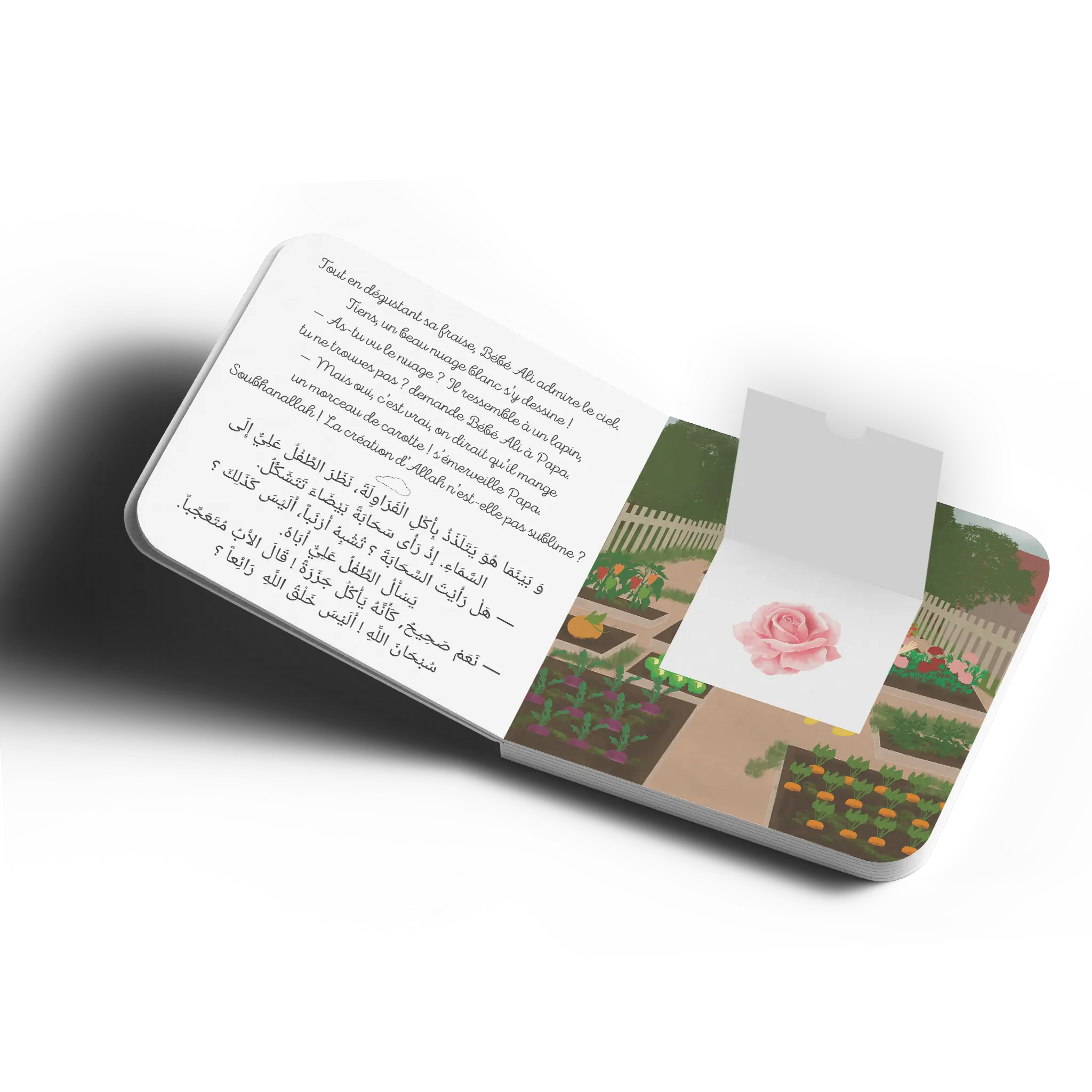 Bébé Ali Découvre la Création d’Allah – Odeur Tome 9