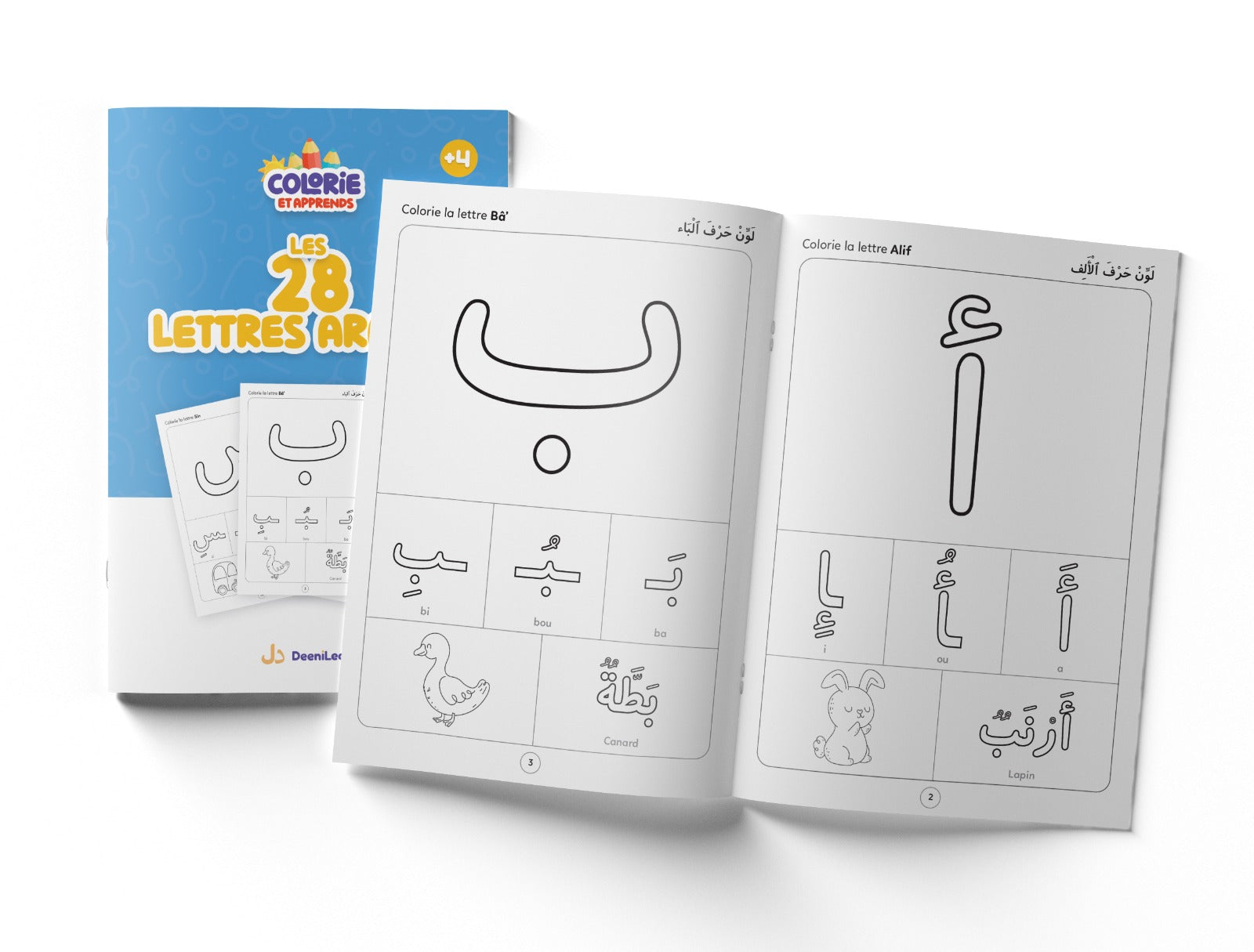 Livre pour enfants DeeniLearn, Colorie et Apprends, 28 lettres arabes, illustrations colorées pour apprendre l'alphabet arabe.