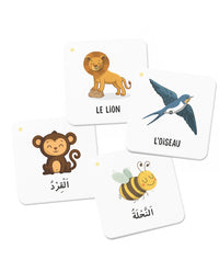 Jeu éducatif Mémo des Animaux du Coran de la marque DeeniLearn, cartes illustrées d'animaux mentionnés dans le Coran.