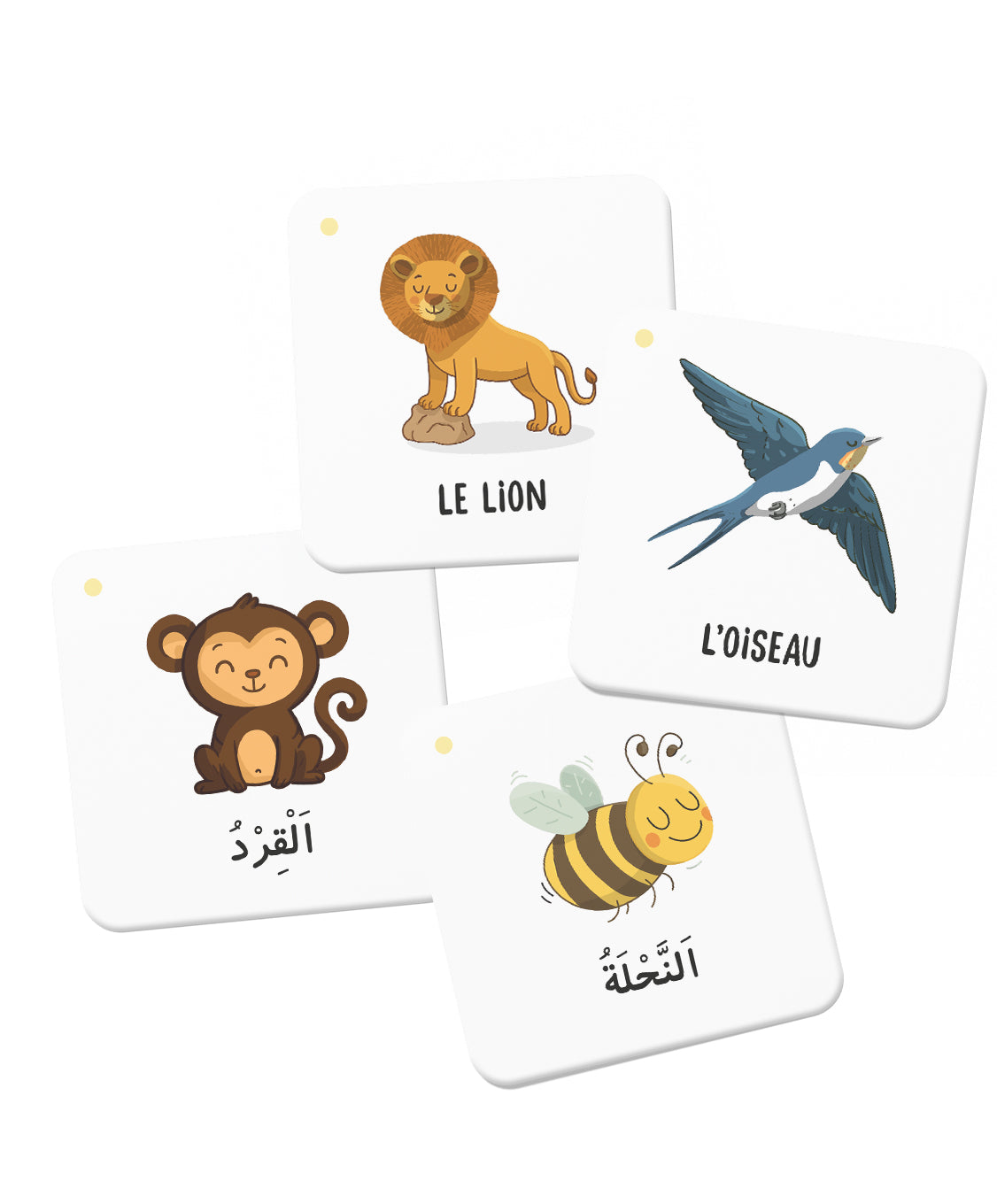 Jeu éducatif Mémo des Animaux du Coran de la marque DeeniLearn, cartes illustrées d'animaux mentionnés dans le Coran.