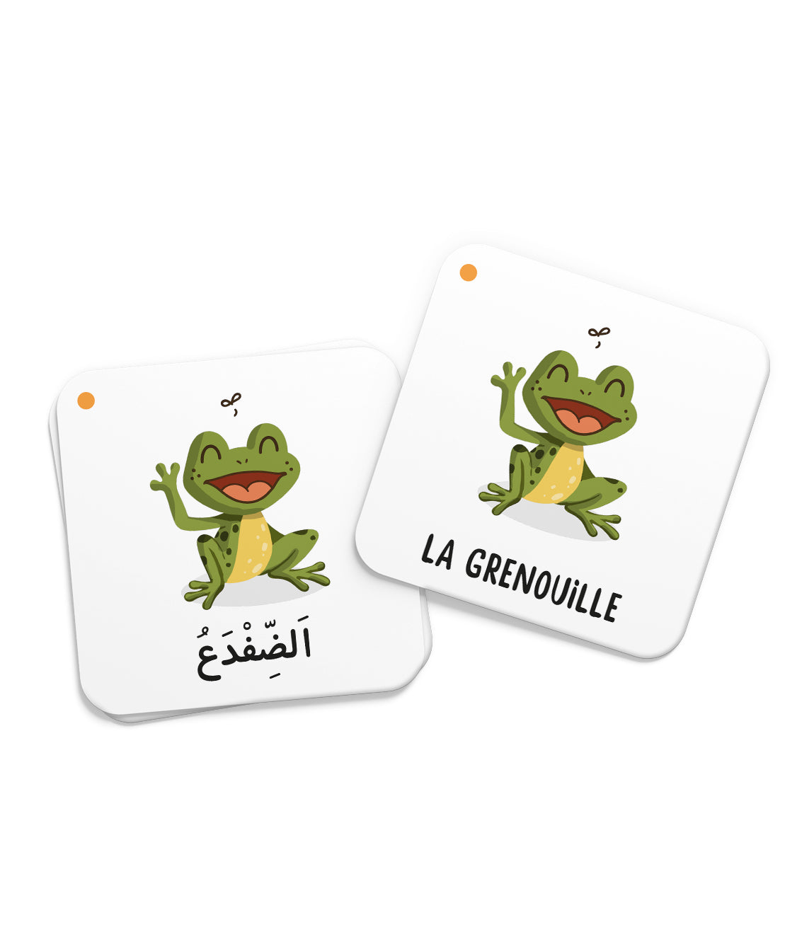 Jeu éducatif Mémo des Animaux du Coran de DeeniLearn, cartes illustrées avec animaux mentionnés dans le Coran.