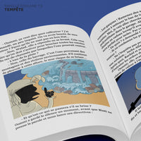Livre pour enfant La Famille Foulane Tome 9 Tempête par Bdouin, couverture illustrée, édition jeunesse.