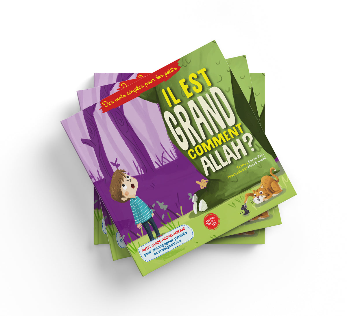 Livre pour enfant "Il est Grand Comment Allah ?" par Graines De Foi, couverture avec illustrations colorées sur la foi islamique.