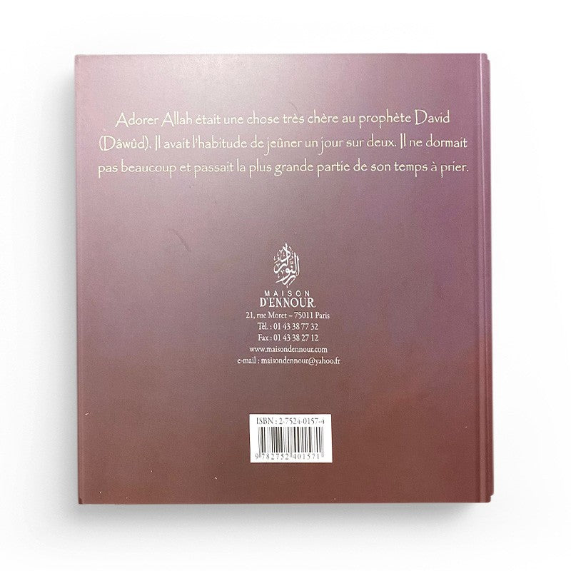 Illustration of the children's book "Le Prophète David (dawud)" by Maison D'Ennour featuring colorful cover design.