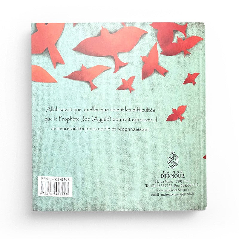 Livre pour enfant "Le Prophète Job (Ayyûb)" de Maison D'Ennour, couverture illustrée avec titre visible.