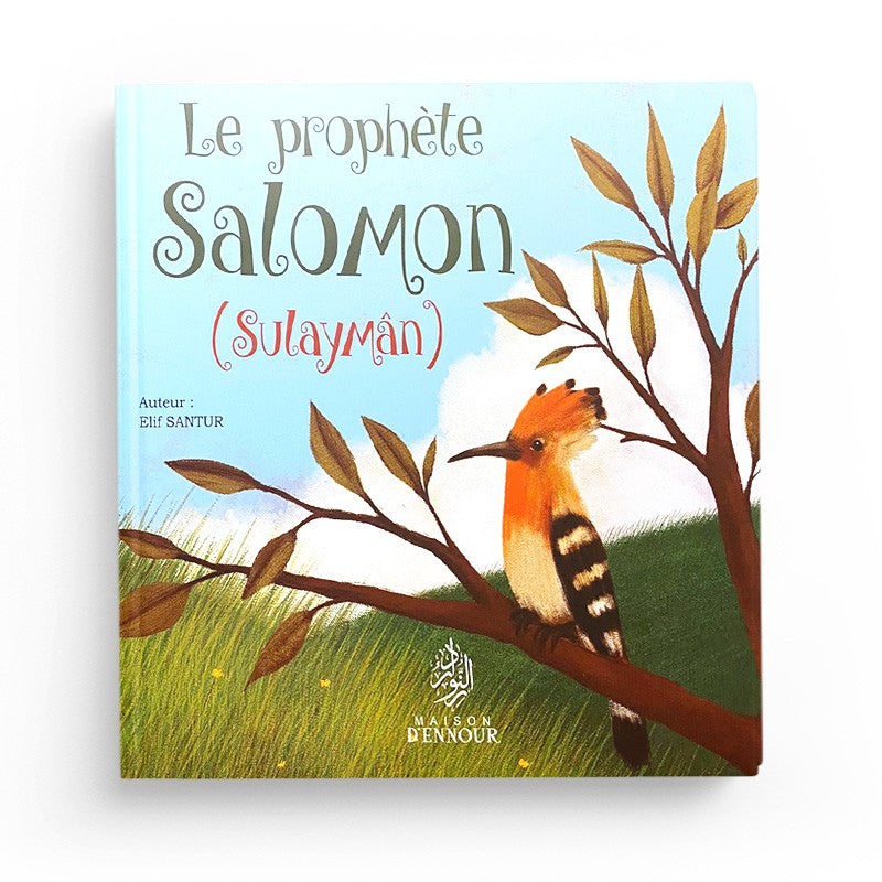 Livre pour enfants Le Prophète Salomon (Sulaymân) de Maison D'Ennour, couverture avec illustration colorée et titre visible.