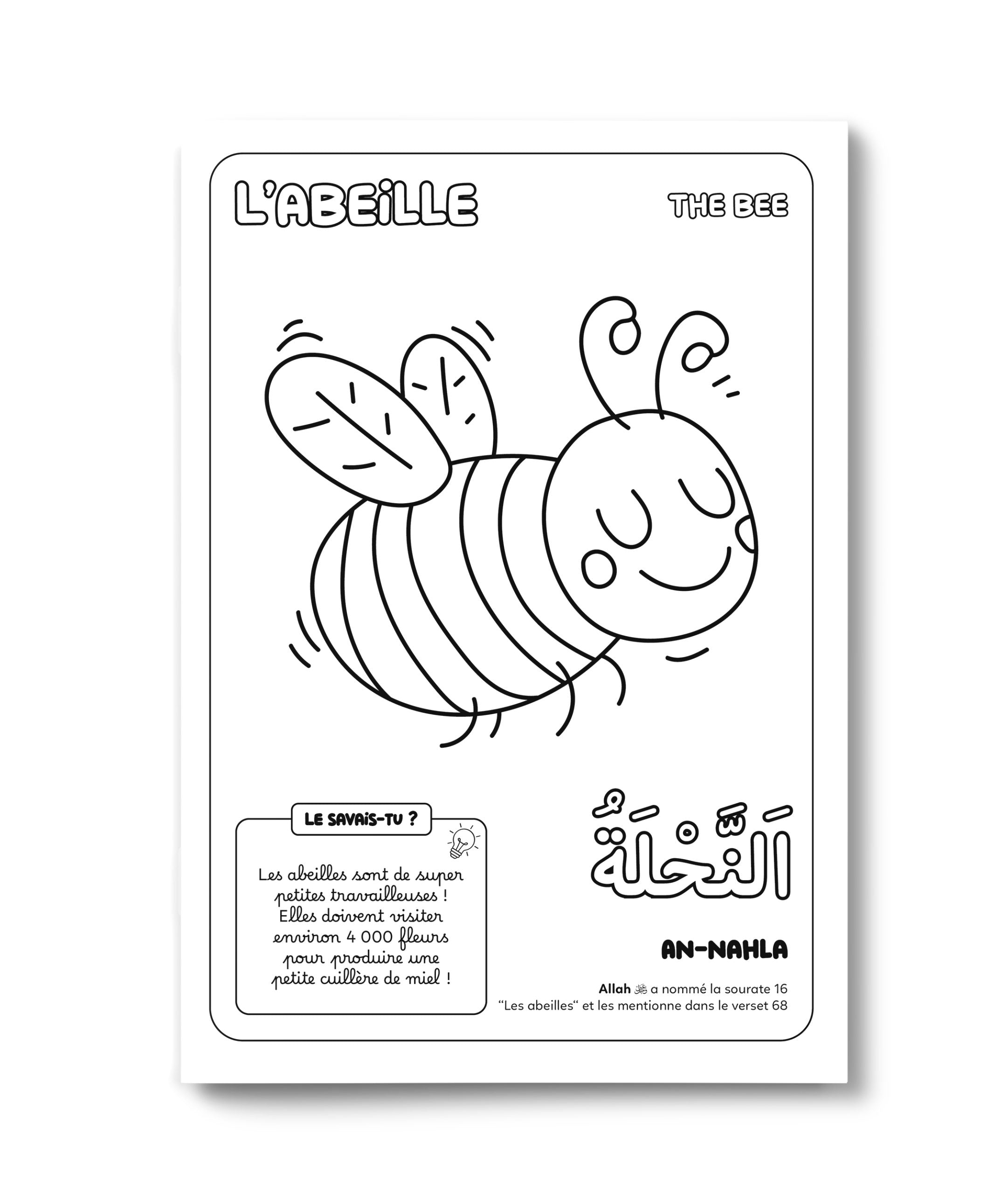 Livre enfant Colorie et Apprends – Les 30 Animaux du Coran de DeeniLearn, illustration d'une abeille en ombre.