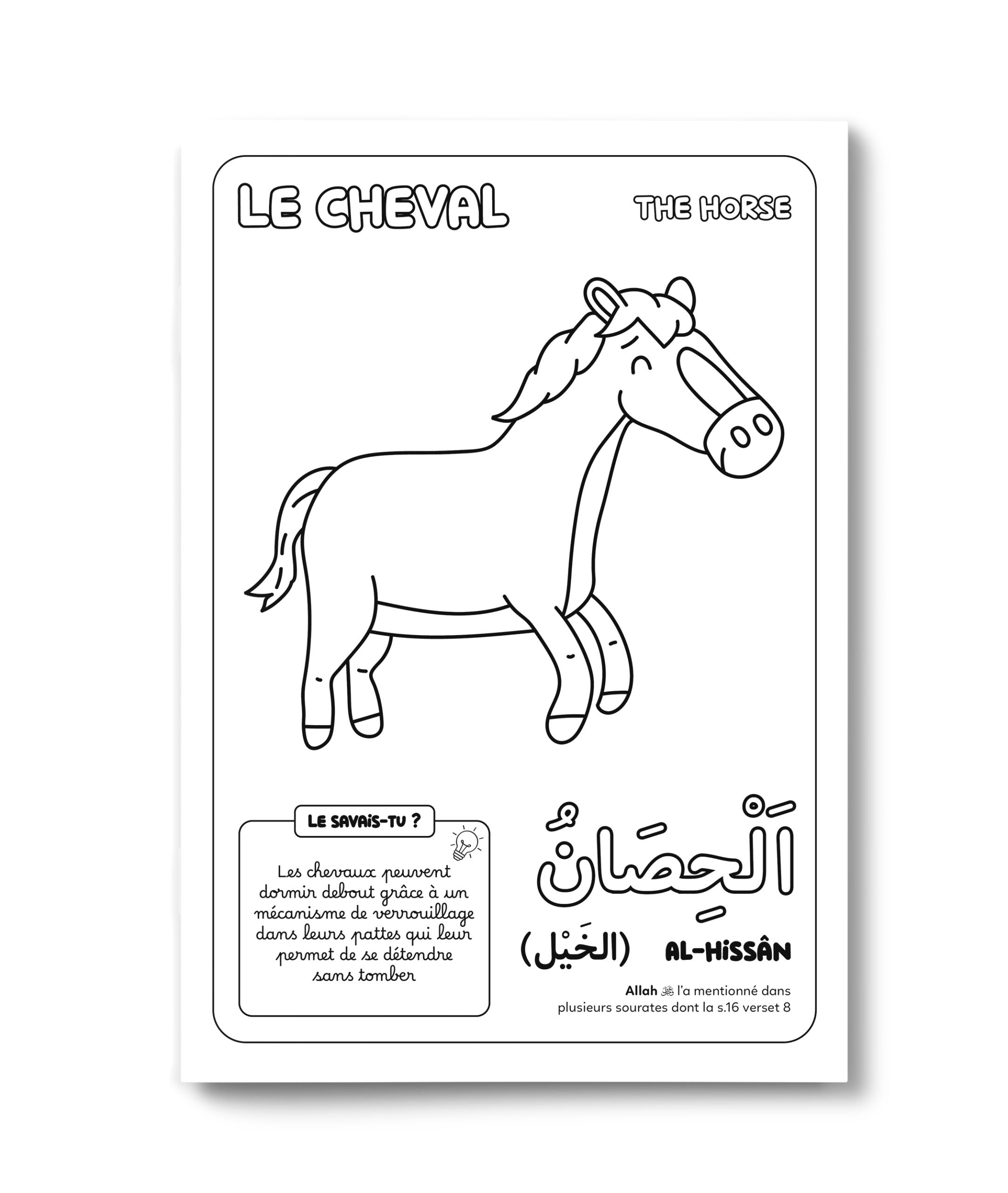 Livre enfant Deenilearn "Les 30 Animaux du Coran" avec illustrations d'ombres de chevaux et autres animaux.