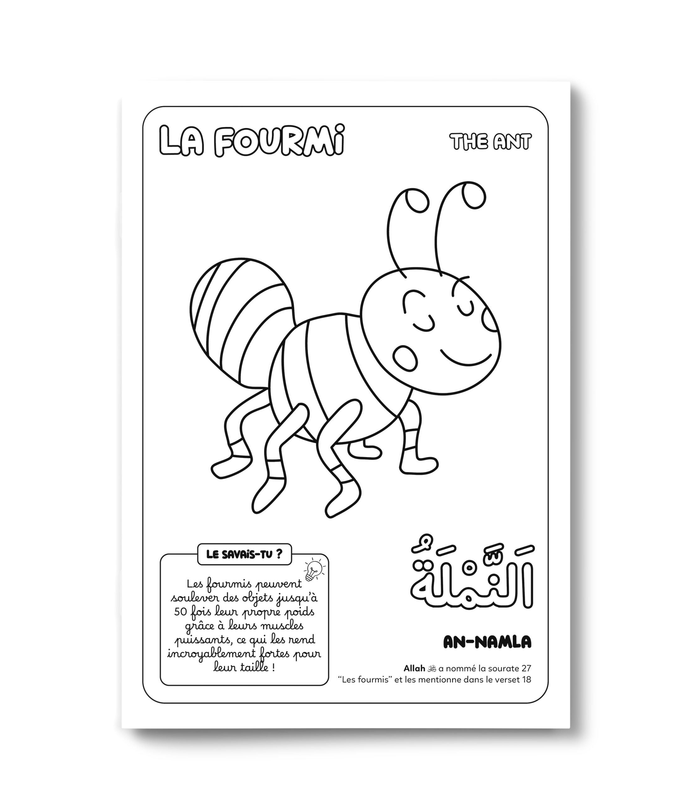 Livre enfant "Colorie et Apprends – Les 30 Animaux du Coran" de DeeniLearn, illustration d'ombres d'animaux comme la fourmi.