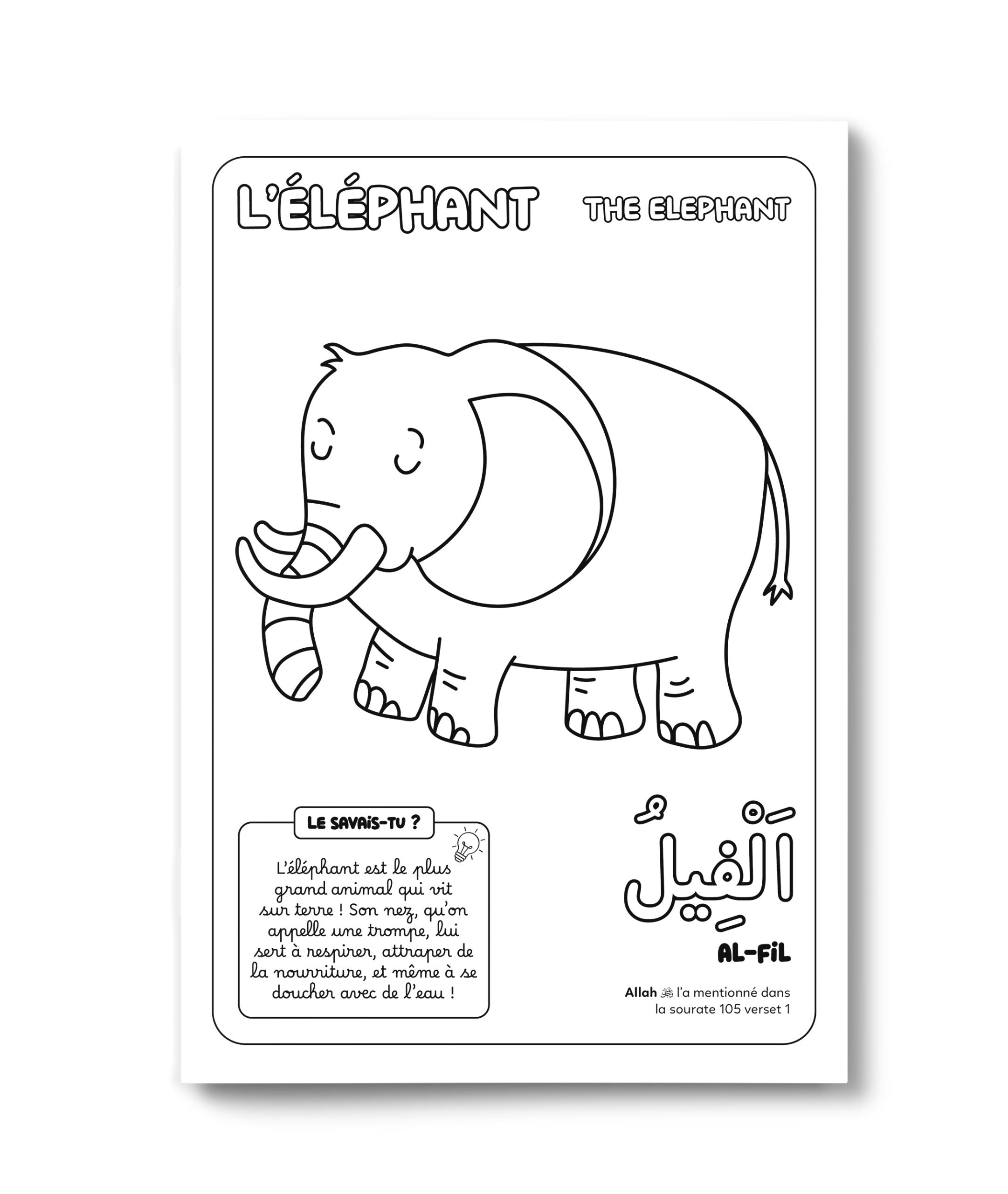 Livre pour enfants DeeniLearn avec illustrations d'animaux du Coran, notamment un éléphant en ombre, pour apprendre en coloriant.