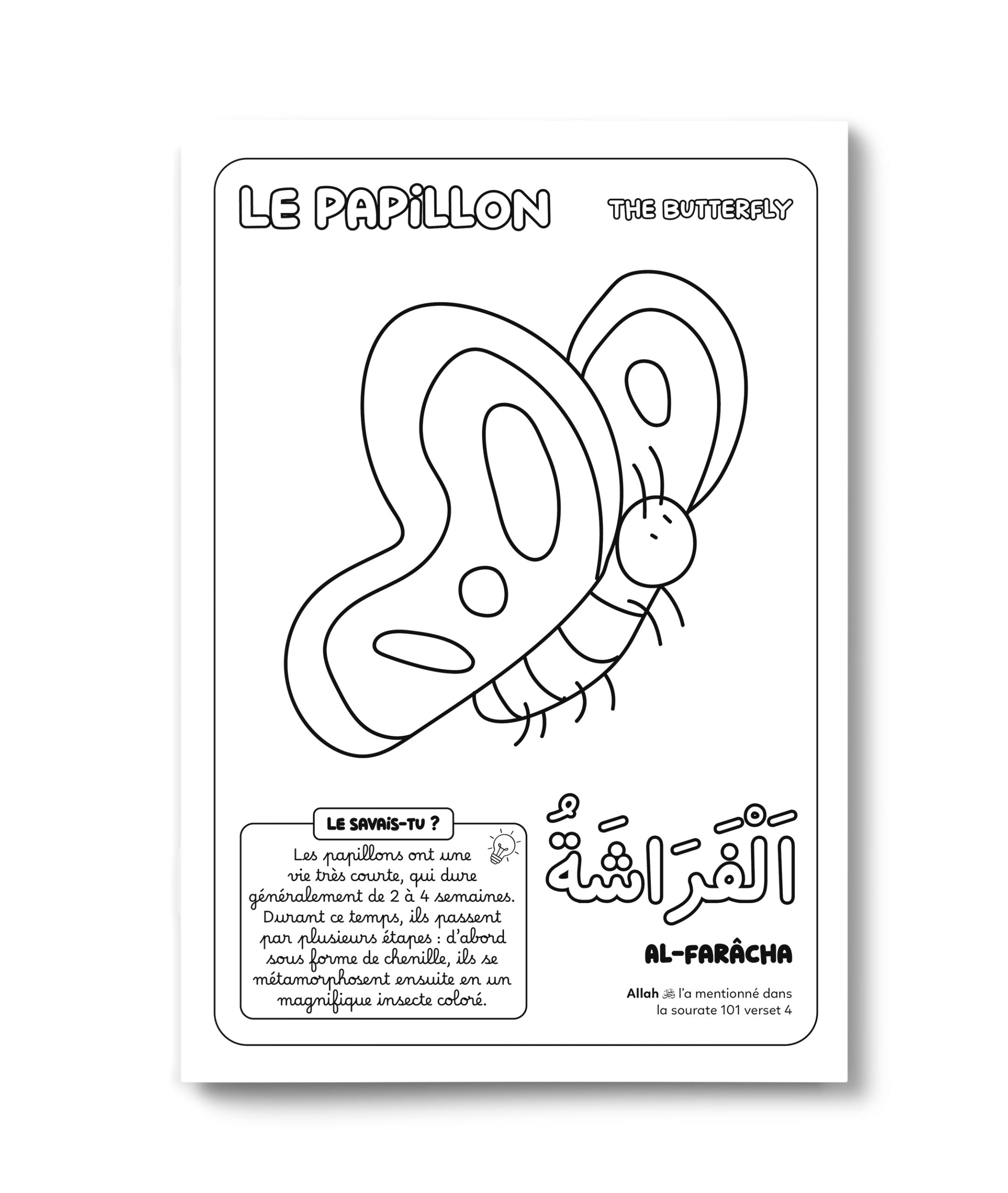 Livre pour enfants "Colorie et Apprends" de DeeniLearn avec illustrations des 30 animaux du Coran en ombres.