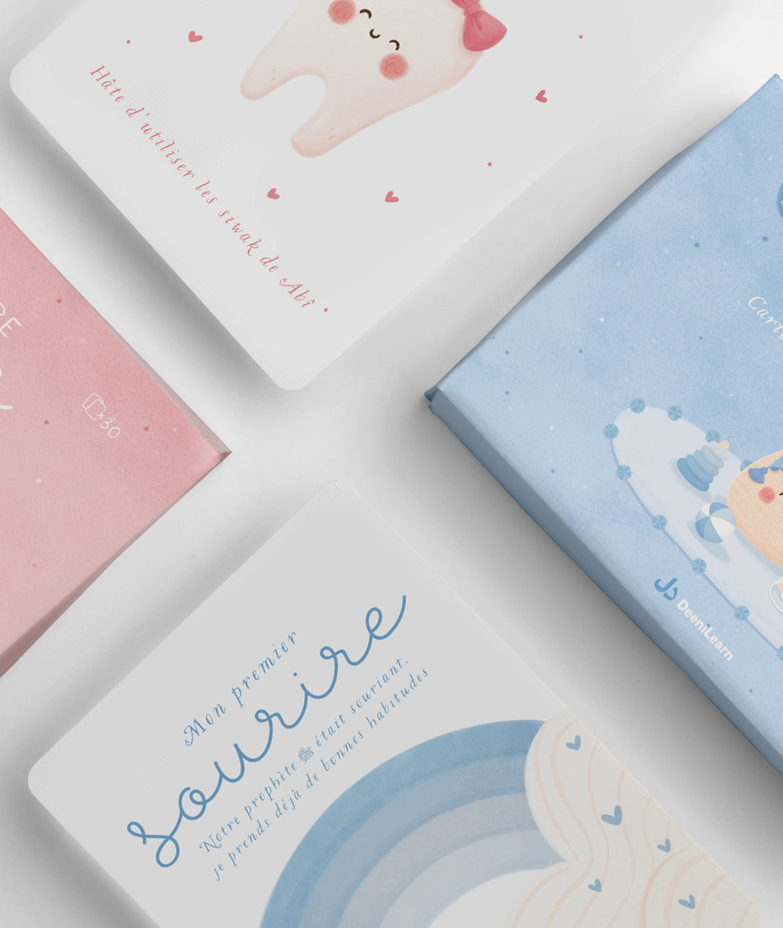 Jeu pour enfant DeeniLearn Ma Première Année, cartes étapes avec silhouettes d'animaux pour garçon, illustration d'ombre.