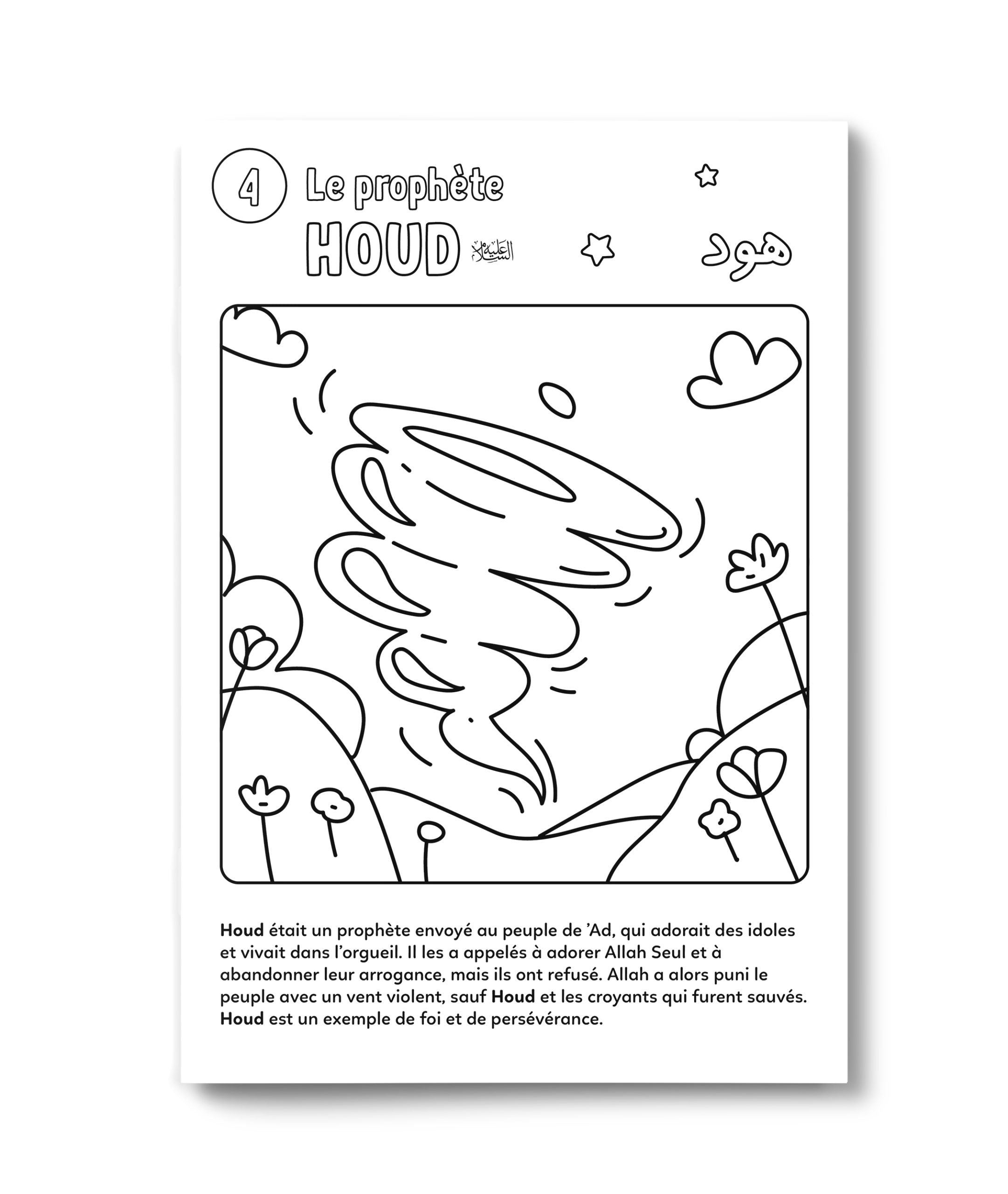 Livre pour enfants "Les 25 Prophètes" de DeeniLearn, couverture illustrée avec images colorées et titre visible.