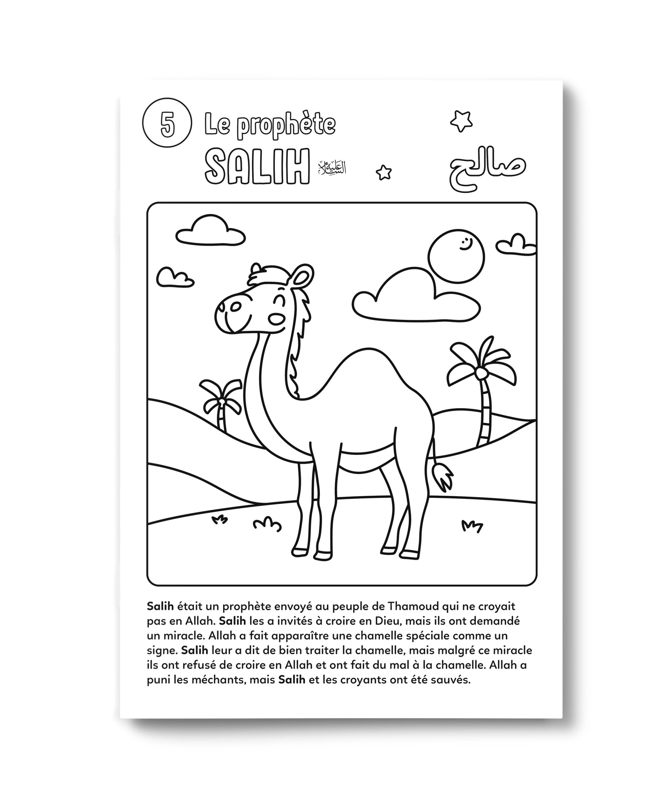 Livre pour enfants DeeniLearn "Les 25 Prophètes" avec illustrations colorées et éducatives sur les prophètes islamiques.