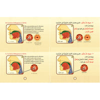 Livre d'apprentissage du Tajwid et lecture du Coran en français et arabe, avec QR-code, par Sana Édition.